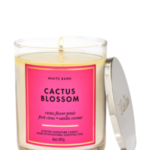 CACTUS BLOSSOM CANDLE